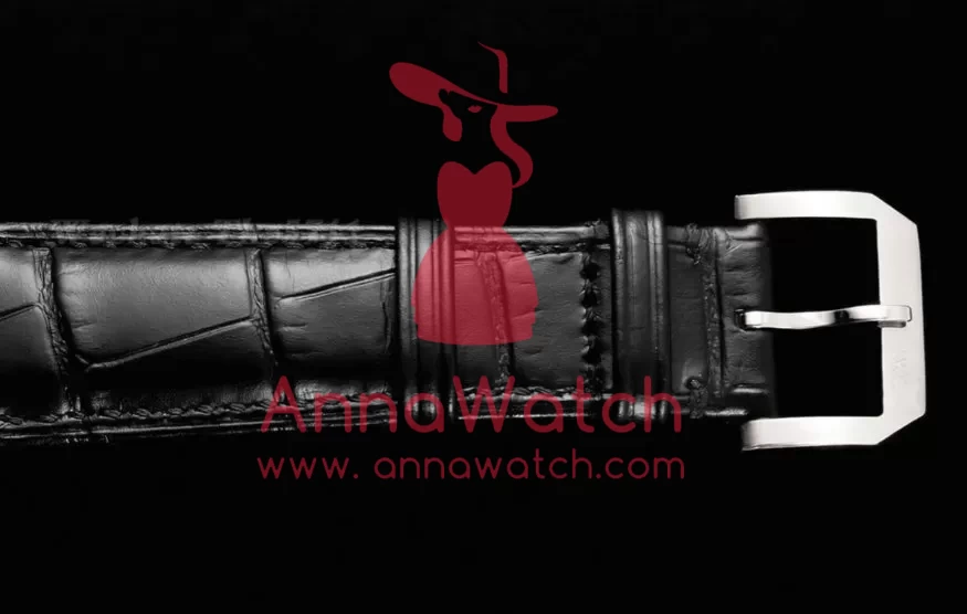 Portugieser IW545 42.4mm SS/LE White Dial RMSF Tourb - Image 11