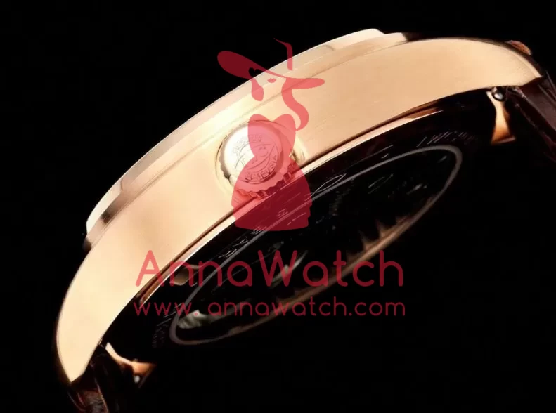 Portugieser IW545 42.4mm RG/LE White Dial RMSF Tourb - Image 7