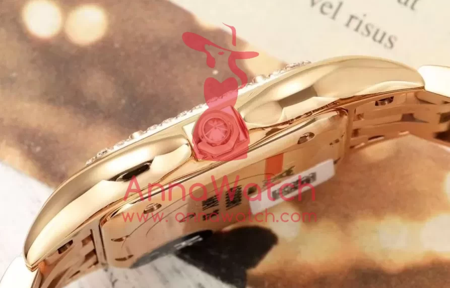 Panthere Secrete De Ladies 27mm Dia RG/RG Brown Dial AF Quartz - Image 7
