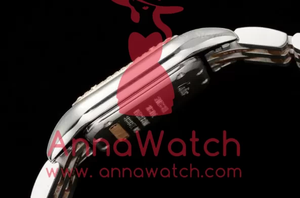 Panthere Secrete De Ladies 27mm Dia RG/SS Mop Dial AF Quartz - Image 10